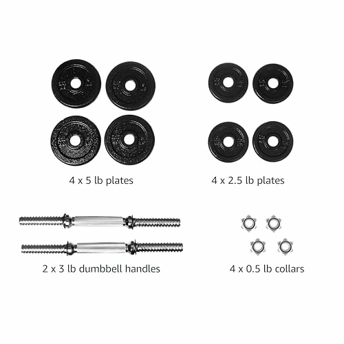 Adjustable dumbbell set with plates, handles, and collars.