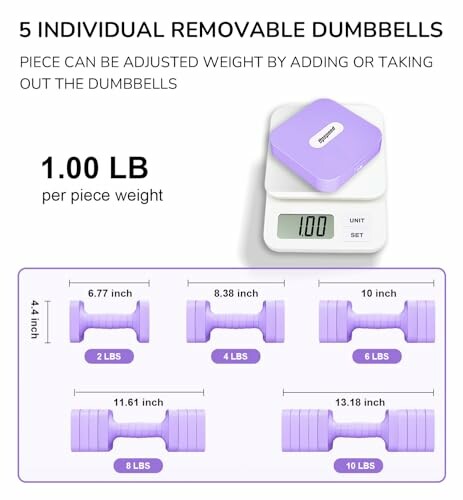 Adjustable dumbbells with individual weights displayed on a scale.