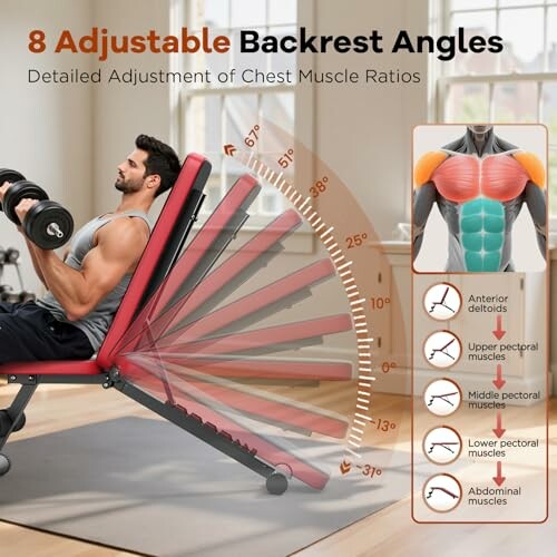 Man using adjustable weight bench with 8 backrest angles for muscle training.