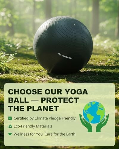 Trideer Exercise Ball