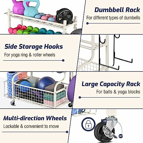 Multi-level fitness equipment storage rack with dumbbell rack, side storage hooks, and large capacity rack.
